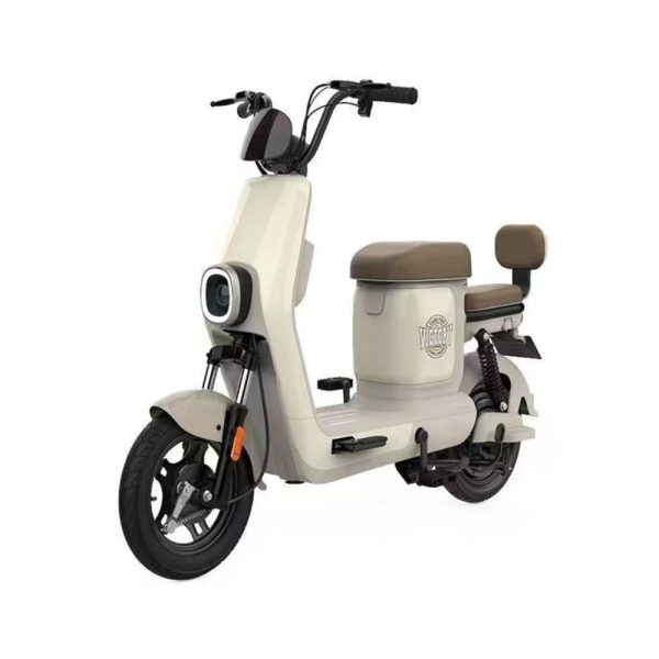 ecoXtrem 500W Q200 Electric Scooter